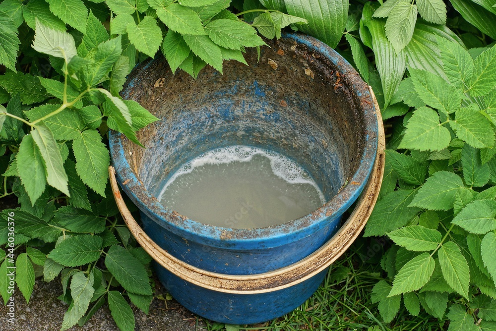one old blue plastic bucket with dirty soapy water stands on the street among green vegetation one old blue plastic bucket with dirty soapy water stands on the street among green vegetation