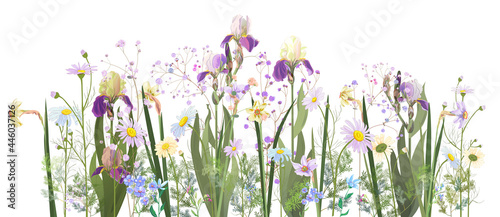 Horizontal spring's border: irises, daffodils (narcissus), daisy, blue purple flowers, small green twigs on white background. Digital draw, illustration in watercolor style, panoramic view, vector