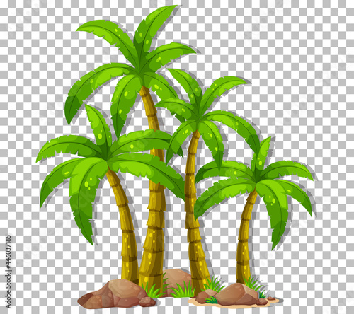 Many palm trees on transparent background