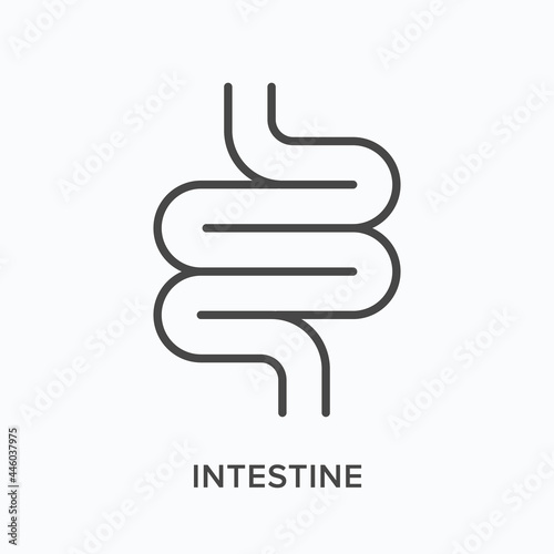 Intestine flat line icon. Vector outline illustration of gut. Black thin linear pictogram for internal gastrointestinal organ