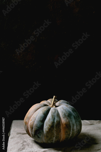 Blue pumpkin on linen tablecloth. Dark still life