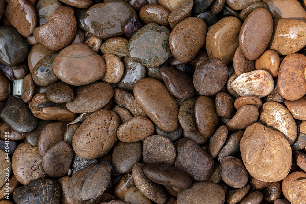 Wet pebbles and rocks on the ground Wet pebbles and rocks on the ground