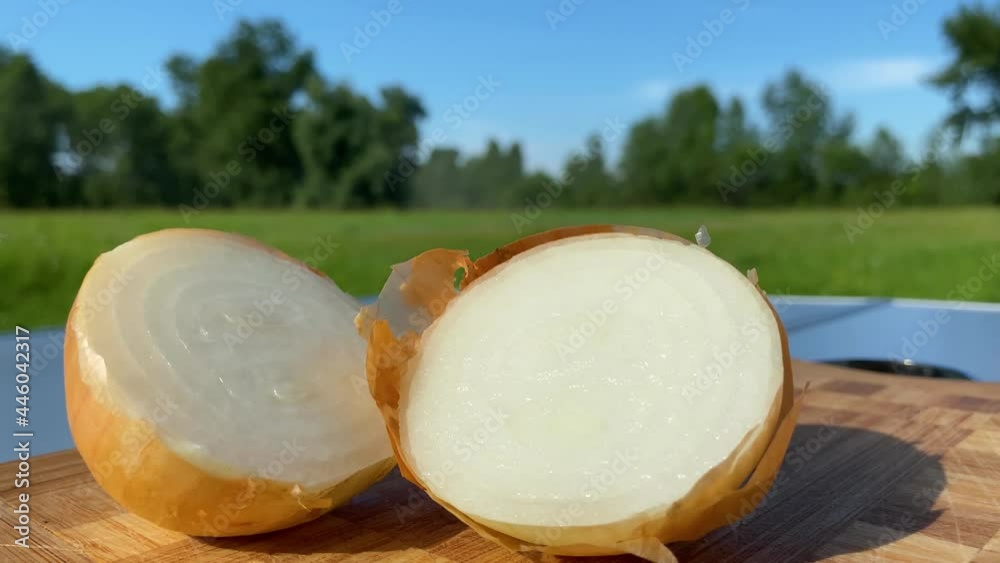 Onions for cooking macaroni and cheese Onions for cooking macaroni and cheese