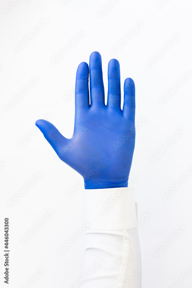 Obraz premium Hand in blue latex Glove. Stop sign. White background. Copy space
