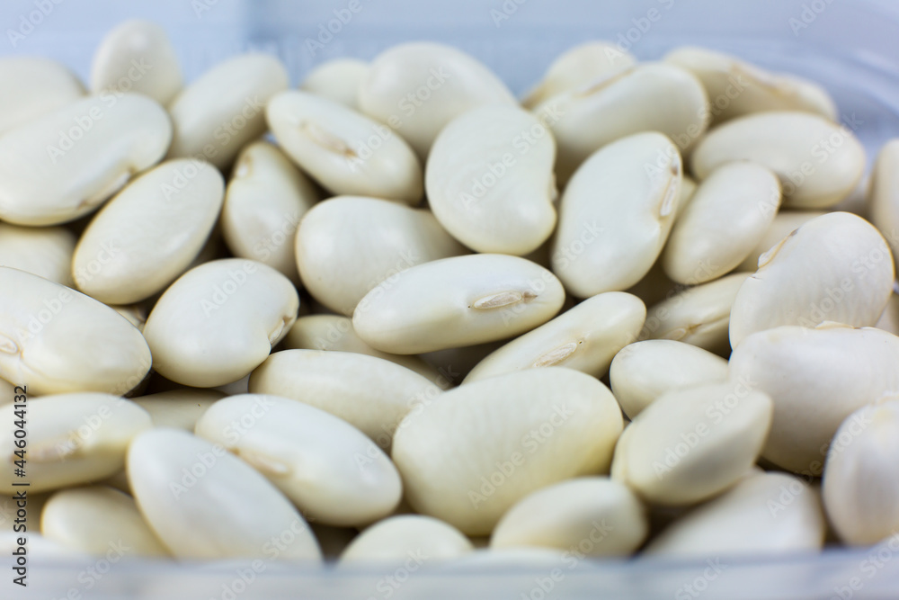 White kidney beans background texture. Vegan and vegetarian photo. Ecological green food. Close up, macro photo. White kidney beans background texture. Vegan and vegetarian photo. Ecological green food. Close up, macro photo.