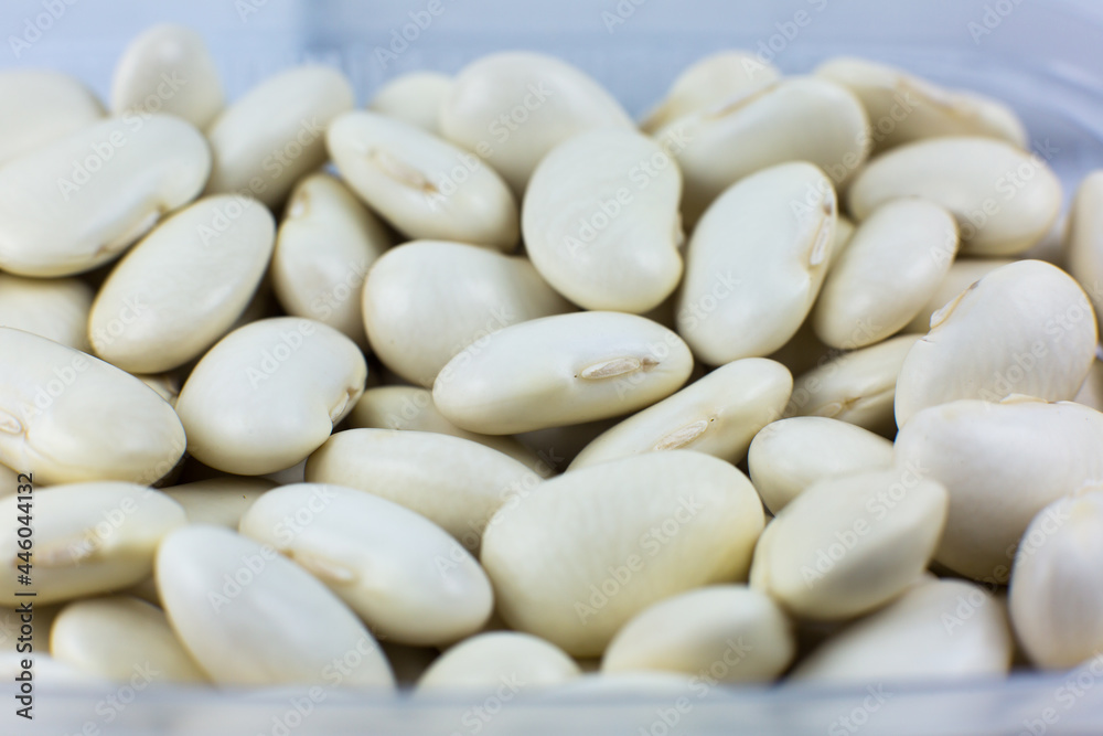 White kidney beans background texture. Vegan and vegetarian photo. Ecological green food. Close up, macro photo.