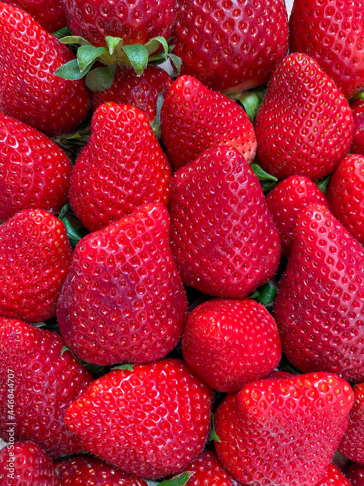 Full frame of huge and fresh strawberries Full frame of huge and fresh strawberries