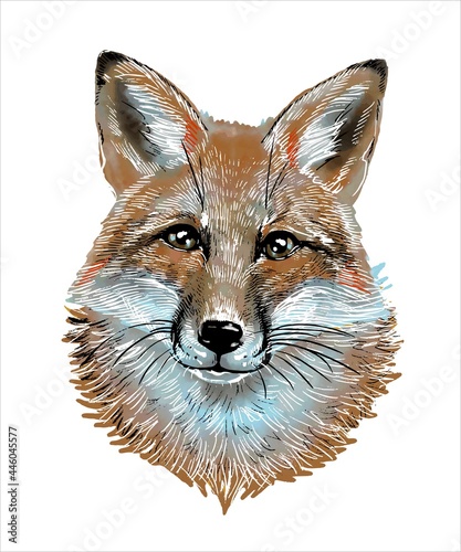 Cute portrait of a fox in watercolor style on an isolated white background. For printing. Vector.