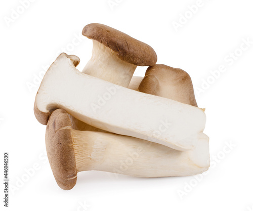 Pleurotus eryngii mushrooms on white background photo