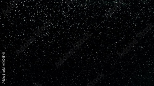 Air bubbles floating under transparent water bubbles in aquarium. Numerous small air bubbles in water rising up to the surface on isolated black background