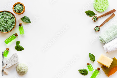 Frame of tea tree cosmetics with essential oil and green leaves