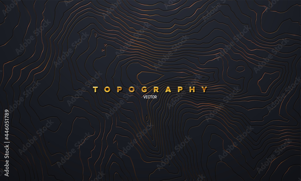 Golden or bronze topography pattern. Vector illustration of heights map topographic backdrop