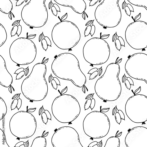 Hand drawn pears pattern. Stylized seamless background with linear pears and dogwood berries.