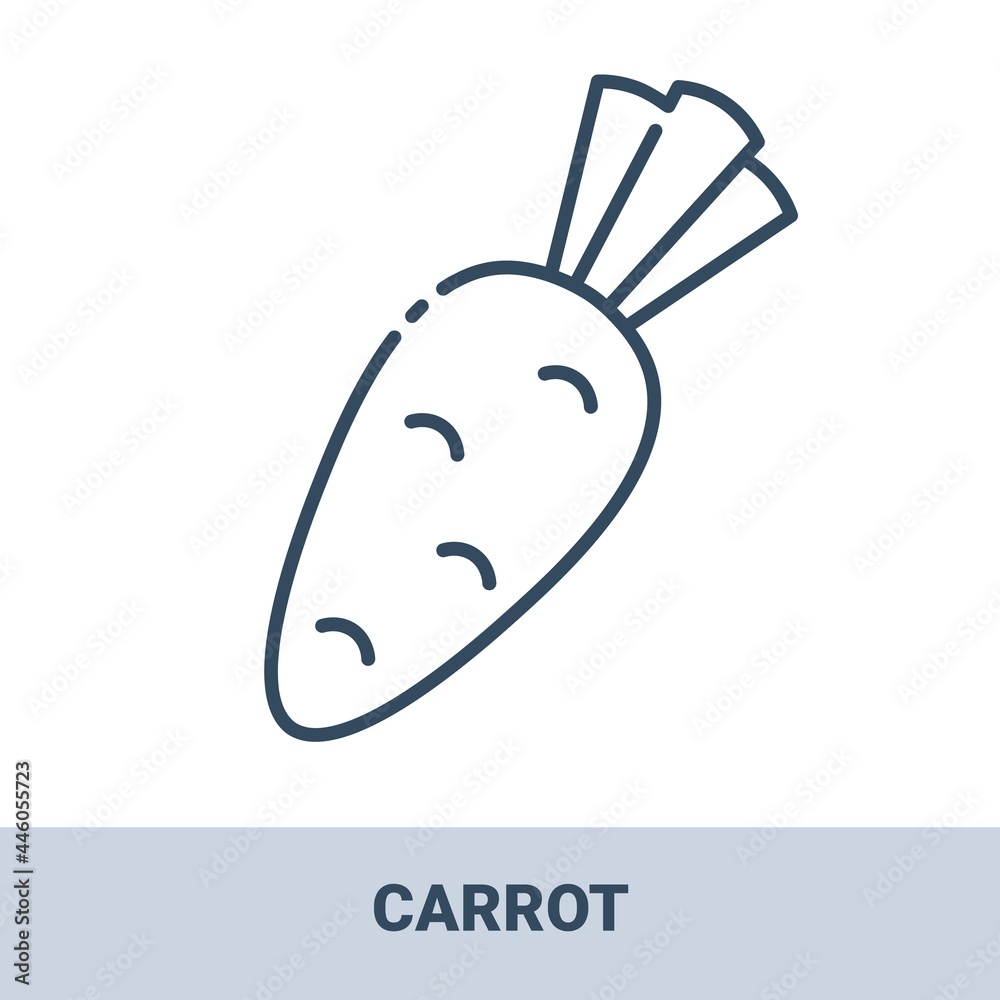 Fresh carrot outline monochrome icon with title. Vector monochrome illustrations isolated on white background. Healthy food concept. Fresh carrot outline monochrome icon with title. Vector monochrome illustrations isolated on white background. Healthy food concept.