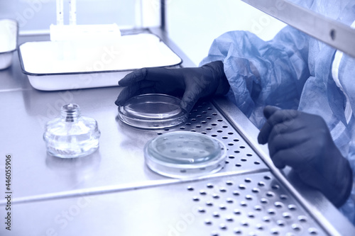 Researcher working with petri dish with bacteria in bacteriological laboratory. Concept of Pharmaceutical Development for Antibiotics, Curing Disease