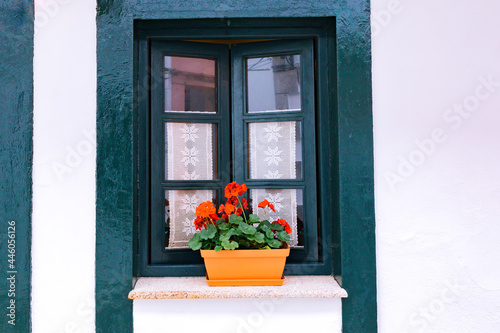 Beautiful traditional window