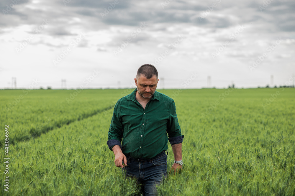 Portrait of farmer standing in wheat field.