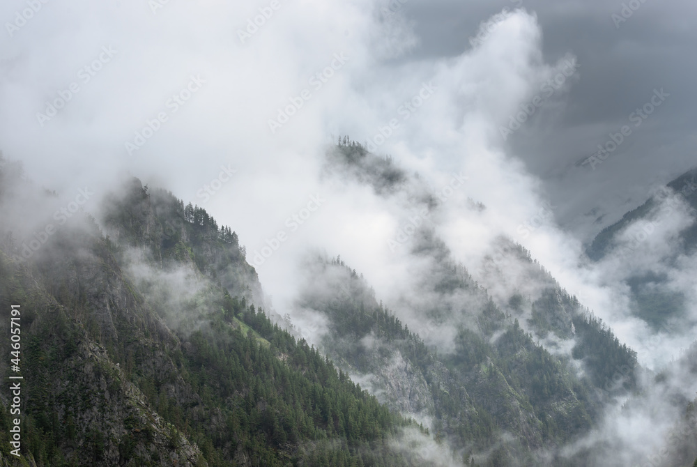 Dramatic landscape with fog rises on slopes of mountains Dramatic landscape with fog rises on slopes of mountains