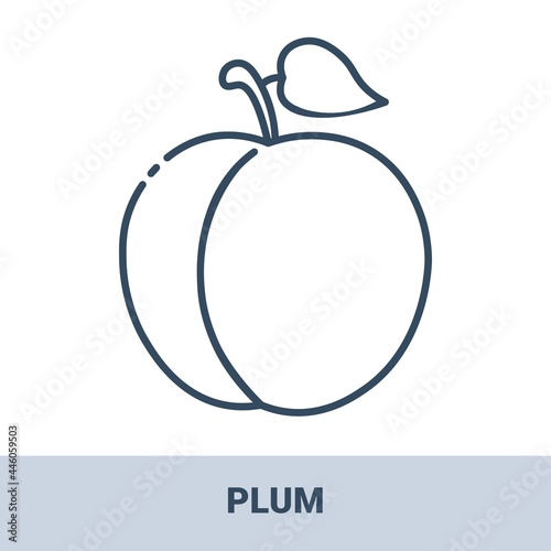 Fresh plum outline monochrome icon with title. Vector monochrome illustrations isolated on white background. Healthy food concept.