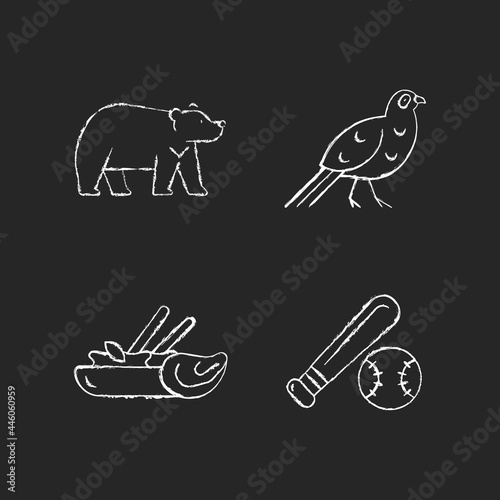 Taiwan national chalk white icons set on dark background. Formosan black bear. Mikado pheasant gamebird. Traditional thai cuisine. Baseball league. Isolated vector chalkboard illustrations on black