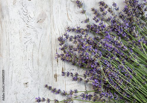 A bouquet of lavender on a light wooden background