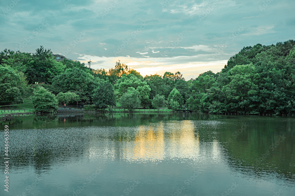 Fototapeta premium 池