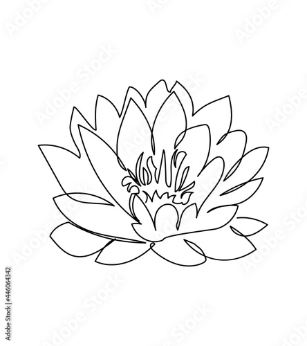 Water lily flower one line art. Continuous line drawing of plants, herb, flower, blossom, nature, flora, lotus.