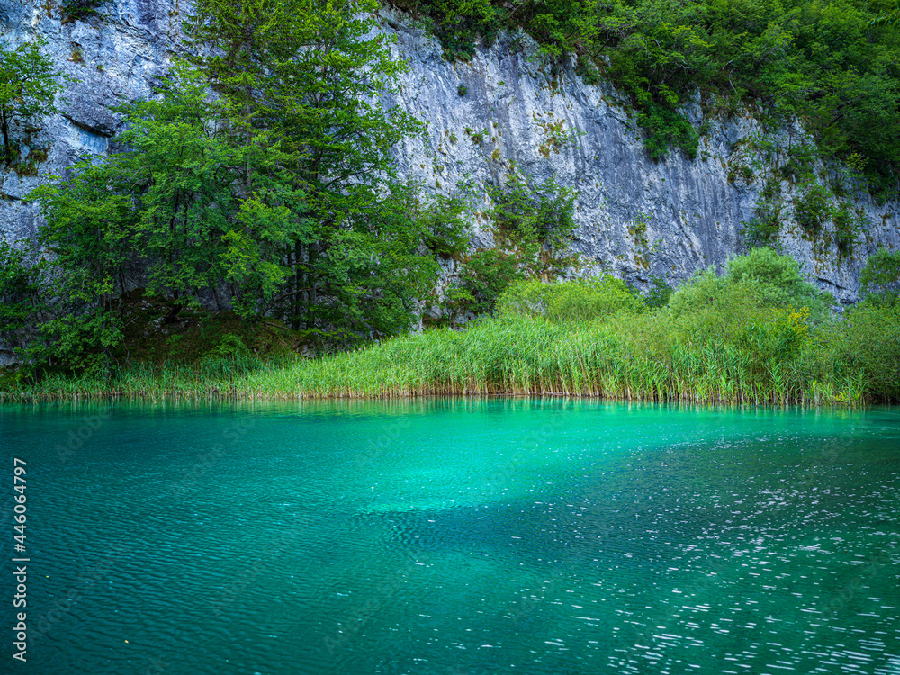 Fototapeta premium amazing beautiful lake in the forest