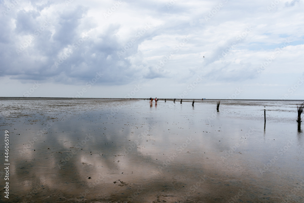 Calm and tranquil seascape at the beach at low tide in Wadden Sea, Germany