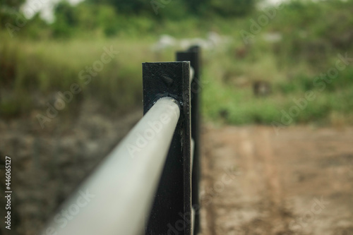 Depth of field Portrait