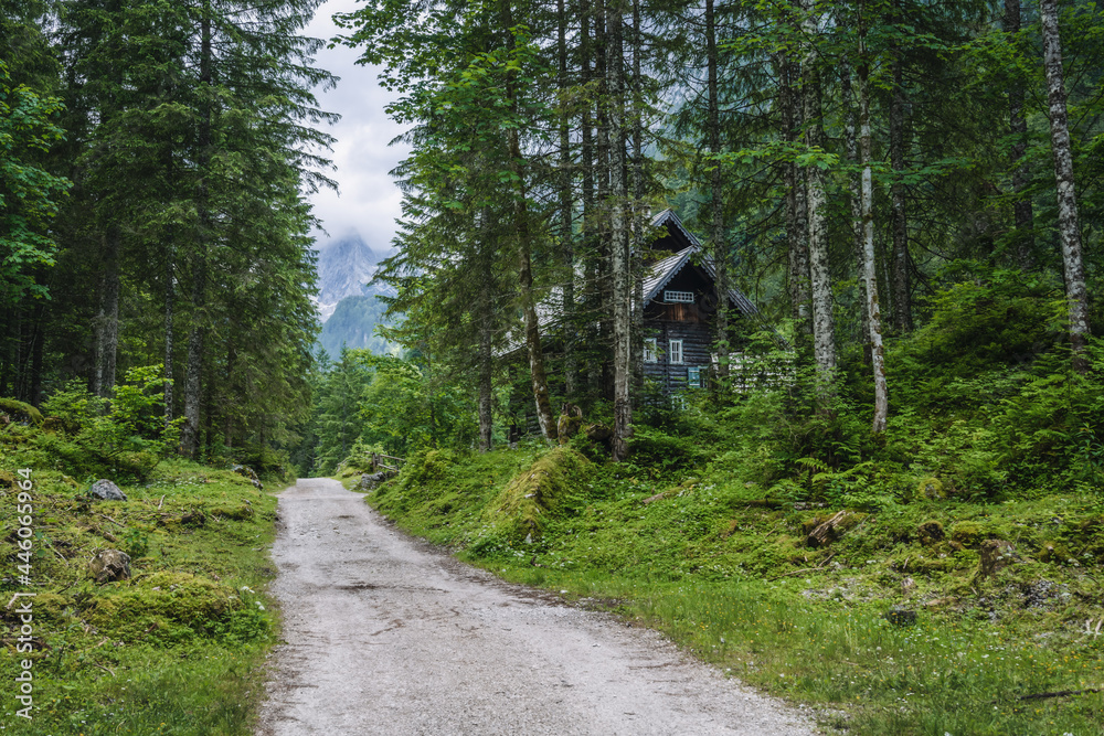Fototapeta premium The hiking path to Upper Gosau Lake Dachstein, Austria