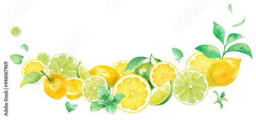 爽やかなシトラスとミントの水彩イラスト。ボトム装飾フレームデザイン。レモンとライム。