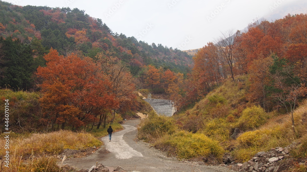 Obraz premium autumn in the mountains