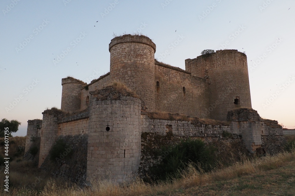castle of pioz