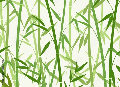 Green bamboo pattern © vectortatu