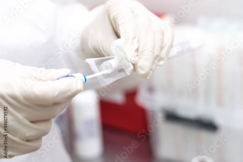 A medical worker opens a package with a cotton swab for a coronovirus test, hands close-up.Medical and coronavirus concept. photo