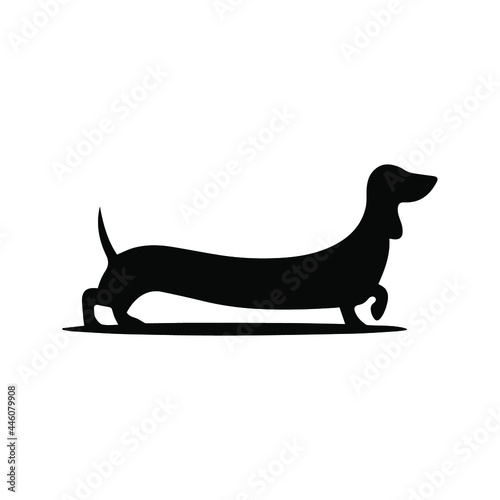 black and white popular vector icon, home pet, dog and cat, dachshund, husky, entrance for
animals, animal steps, paw, pet house, grooming