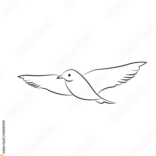 Bird Line Art Vector logo Design for Business and Company