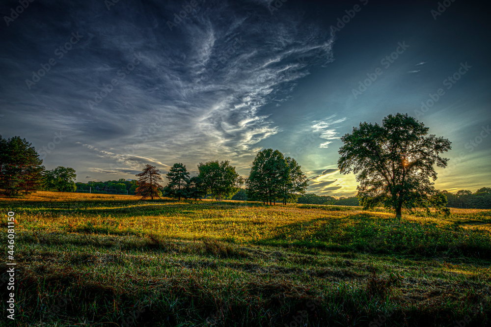 Obraz premium zachód słońca nad polem
