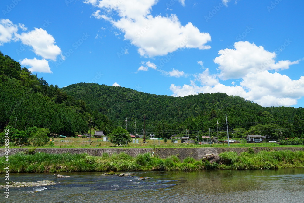 Obraz premium 夏の田舎の川