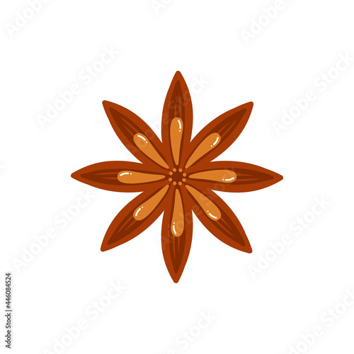 Dry star anise condiment vector cartoon style icon, illustration.