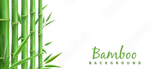Green bamboo stems decoration