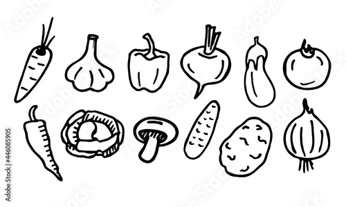 Vegetables set. Hand-drawn vegetables. Doodle vegetables. Vector doodle isolated on white background.