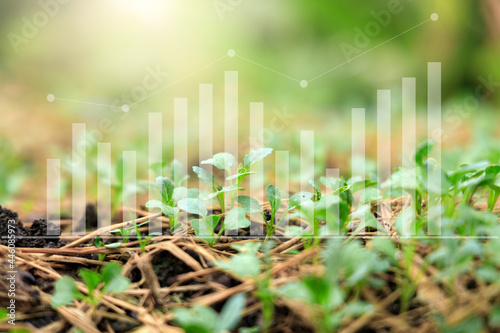 Statistics collection Analyze agricultural data with intelligent AI technology. Smart agriculture and mogern farming concept.