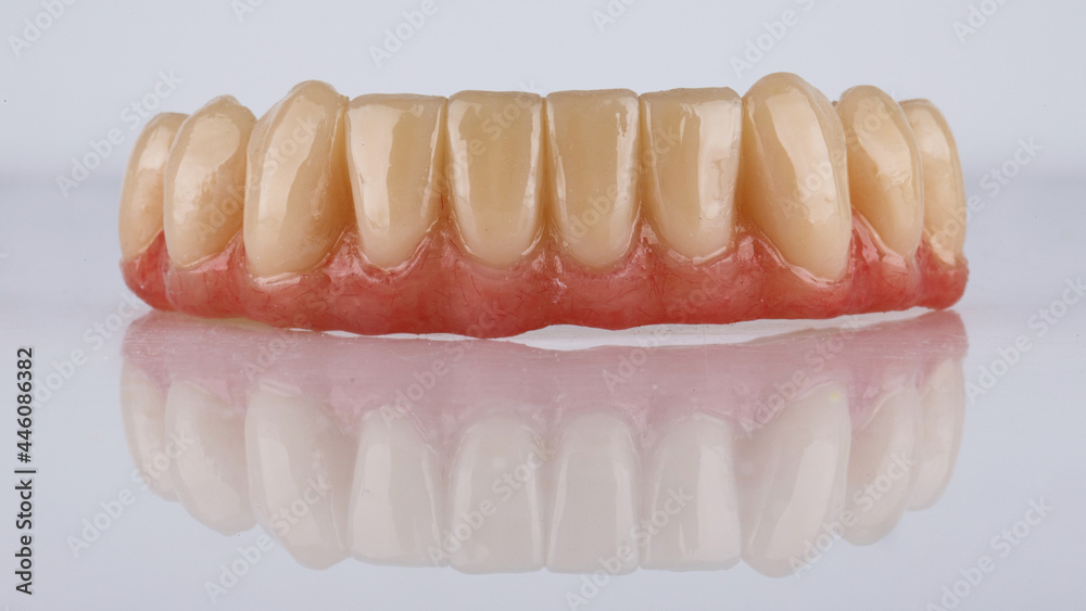 excellent dental prosthesis of the lower jaw with artificial gum on a white background with reflection excellent dental prosthesis of the lower jaw with artificial gum on a white background with reflection