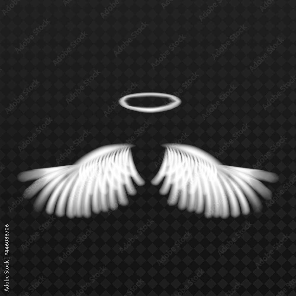 Abstract symmetry bird wings line luxury white color isolated on dark background. Abstract symmetry bird wings line luxury white color isolated on dark background.