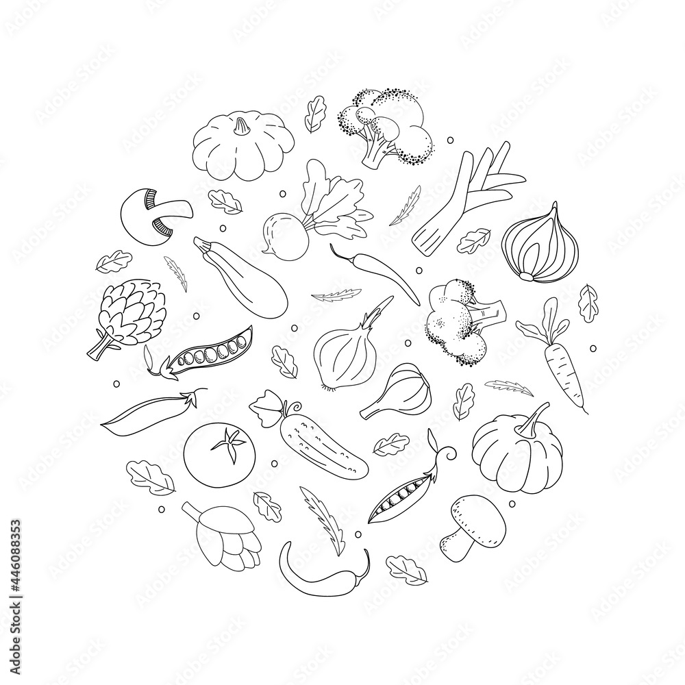 Doodle vegetables in circle. Black hand drawn vegetables on white background. Hand drawn vector illustration for fabric, textile, poster, wrapper, card, clothes