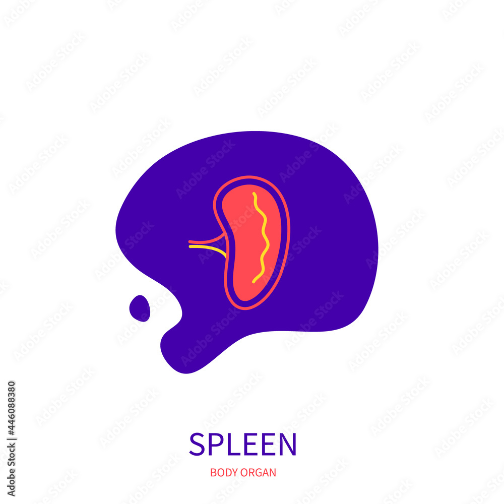 Spleen lymphatic system body organ outline icon on abstract geometric splash. Human anatomy medical symbol. Vector illustration. Spleen lymphatic system body organ outline icon on abstract geometric splash. Human anatomy medical symbol. Vector illustration.