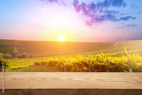 empty wooden table on background of vines, tuscan landscape in the morning at sunrise © Egor