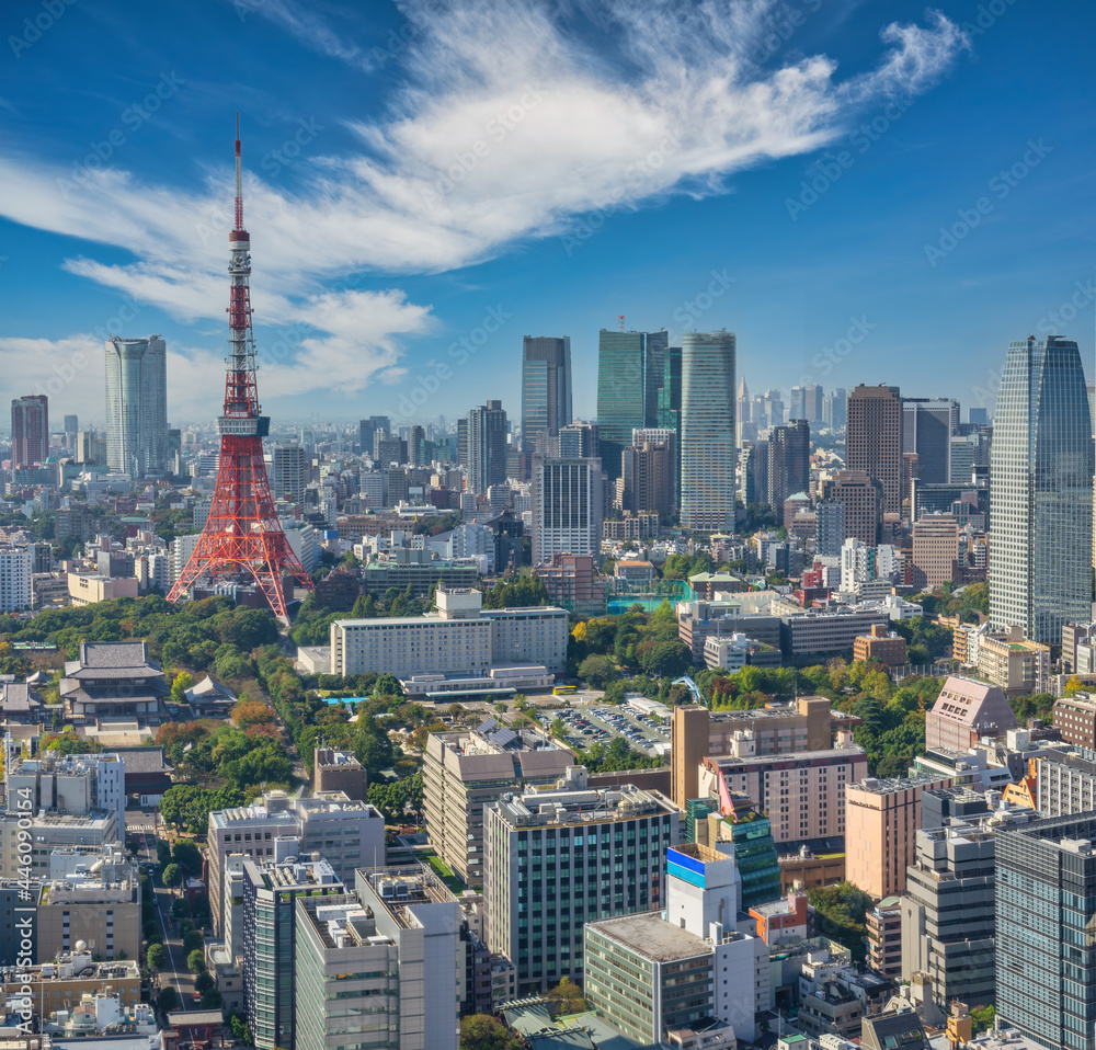 Tokyo Japan, city skyline at Tokyo Tower and skyscraper cityscape